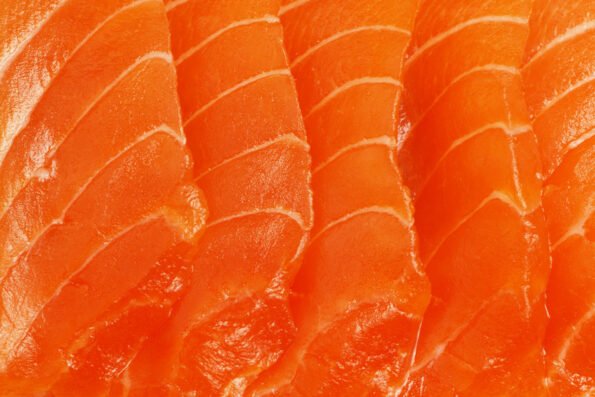 dna salmon